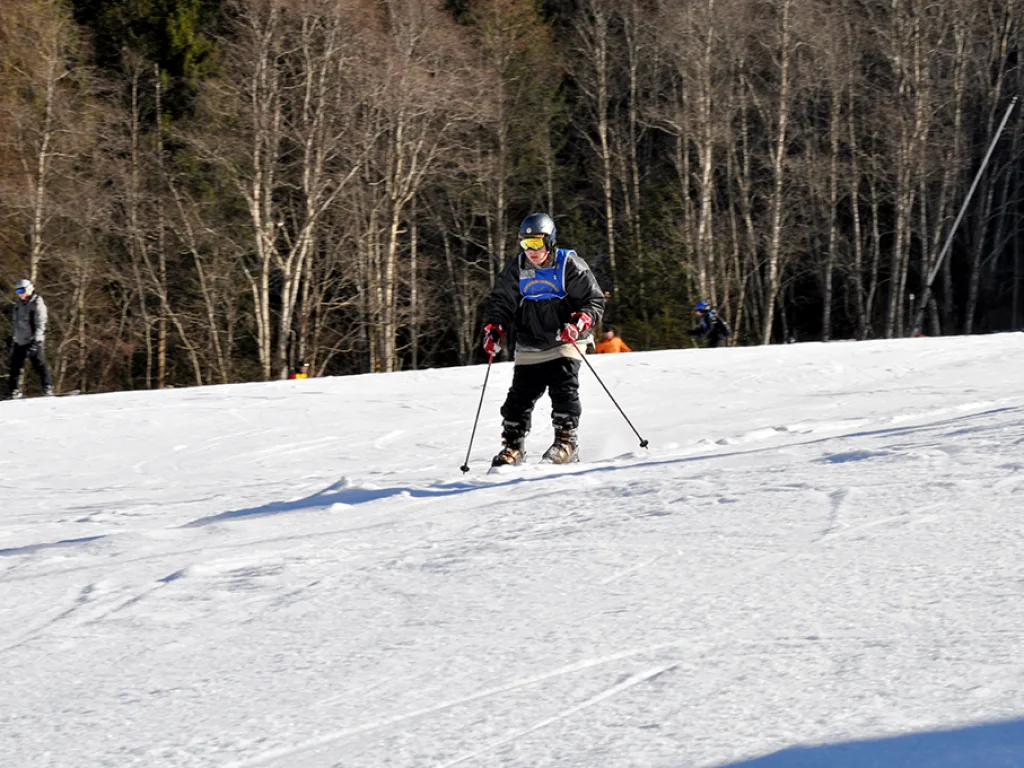 Skifahrer auf der Piste vor kahlen Bäumen.
